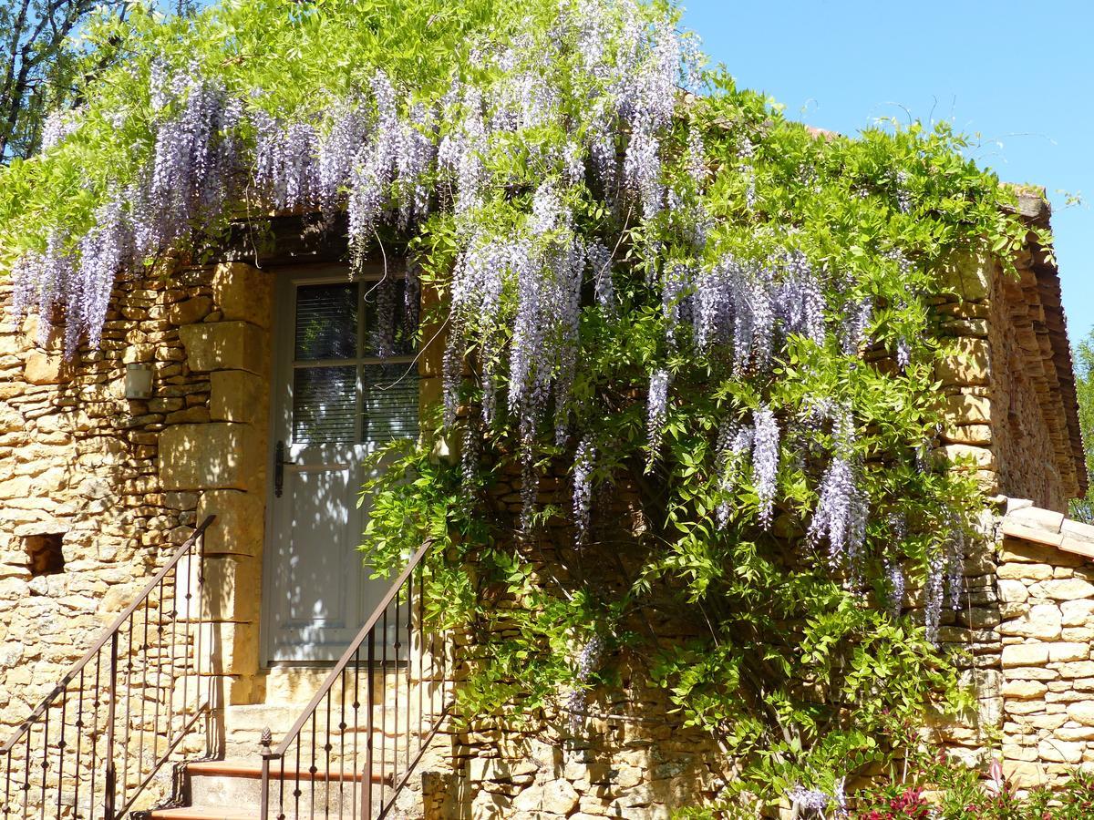 Saint-Germain-de-Belvès Chambres D'Hotes Les Boudines الغرفة الصورة